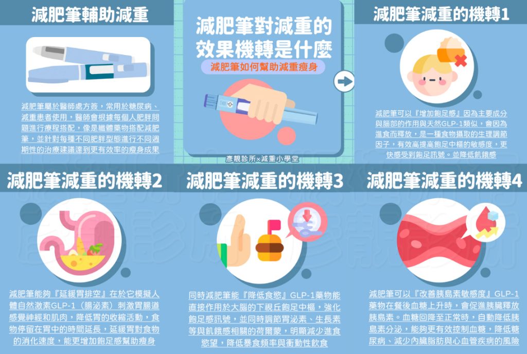 瘦瘦筆/減肥筆/瘦瘦針的機轉作用原理,對減重的效果是什麼